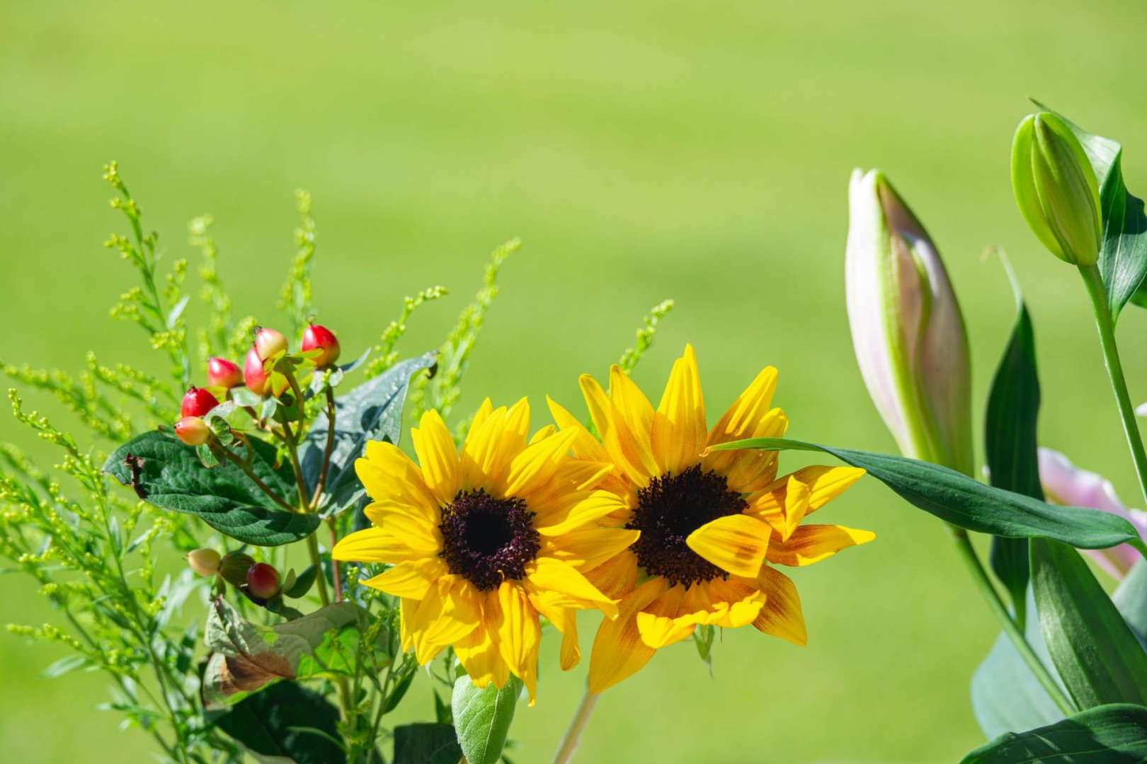 スライド画像２