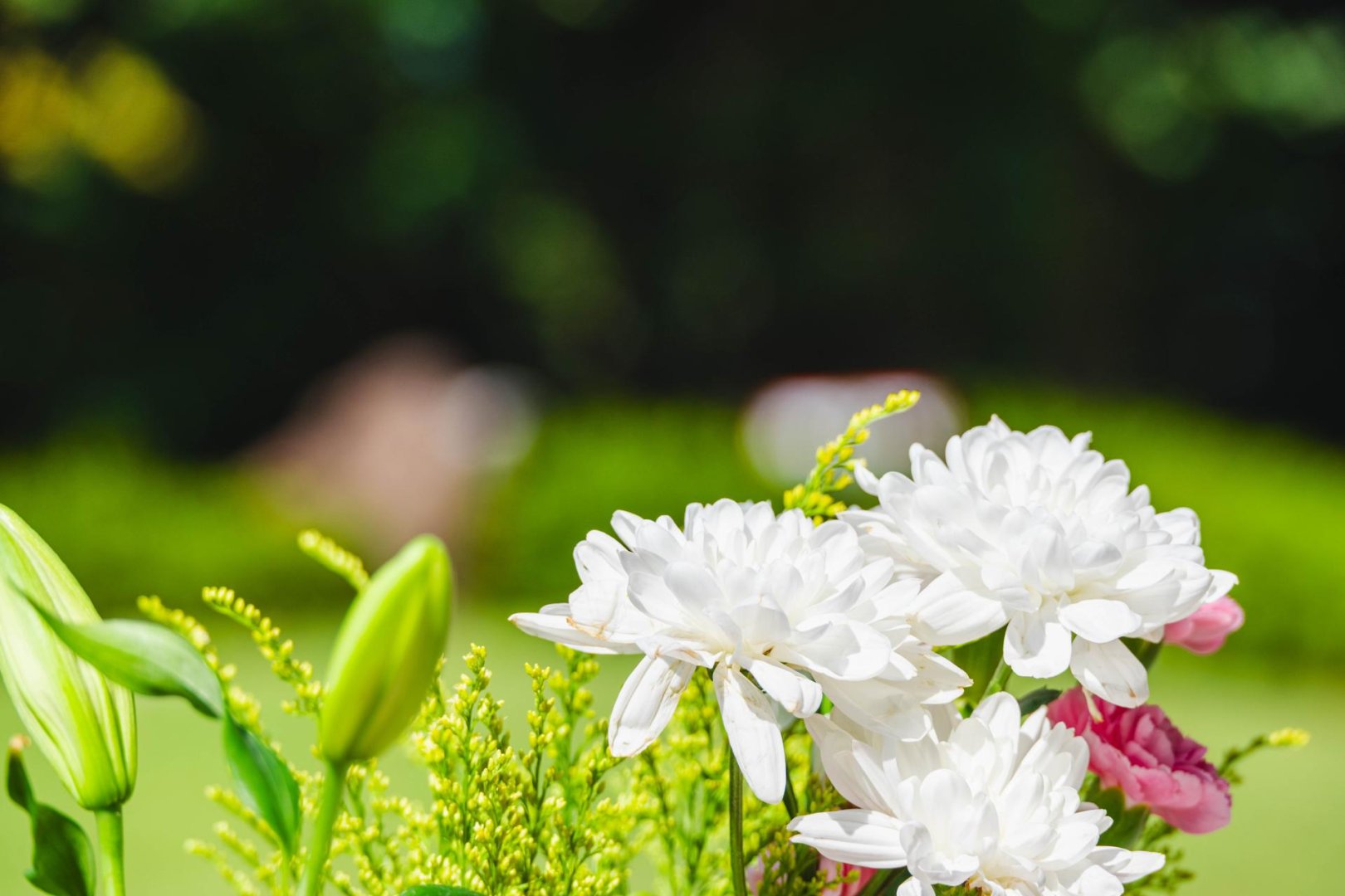 スライド画像３